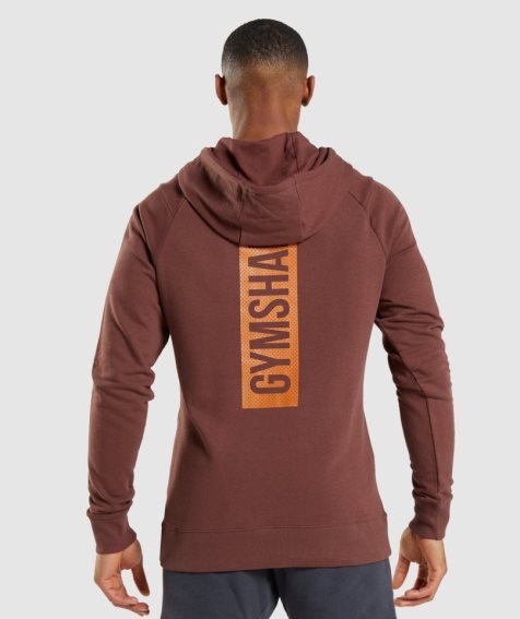 Men's Gymshark Bold Hoodie Brown | CA 08D7N1